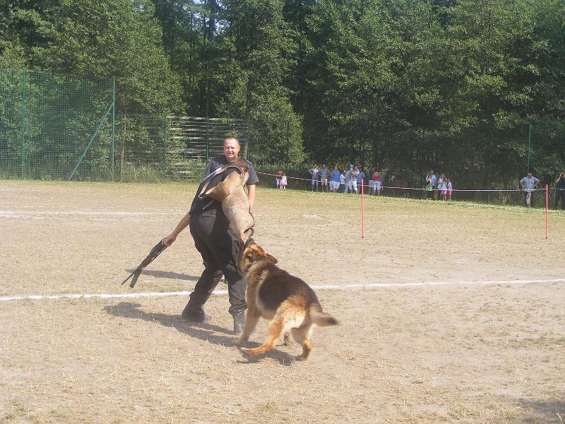 01.07.12r. FESTYN 135